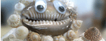 �L�k�V�[�T�[�Љ�