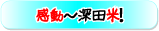 �{�ȉ���H�ށE�o�i�i
